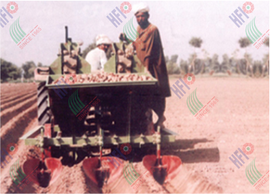 Potato Planter HFI – 84